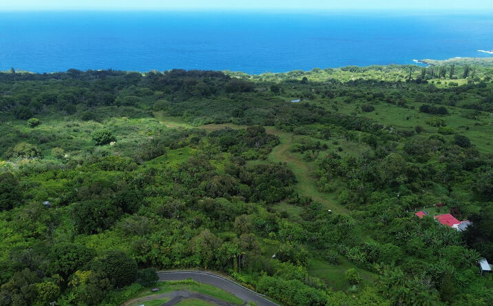 Pictures of Land property located at 973 Hana Hwy, nahiku, HI 96708 for sales - image #1