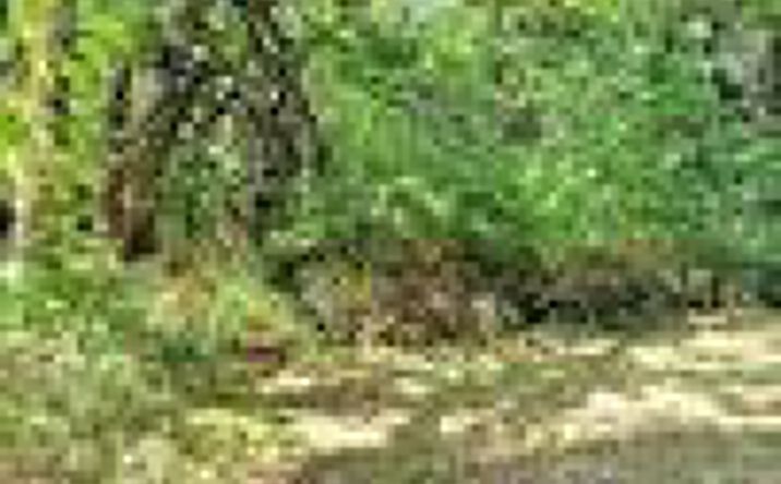 Pictures of Land, Special Purpose property located at 29 N Eagle Lane, Mound City, KS 66056 for sales - image #1