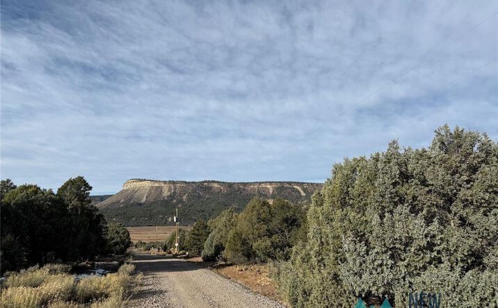 Pictures of Land property located at TBD Christy Lane, Rutheron, NM 87551 for sales - image #1