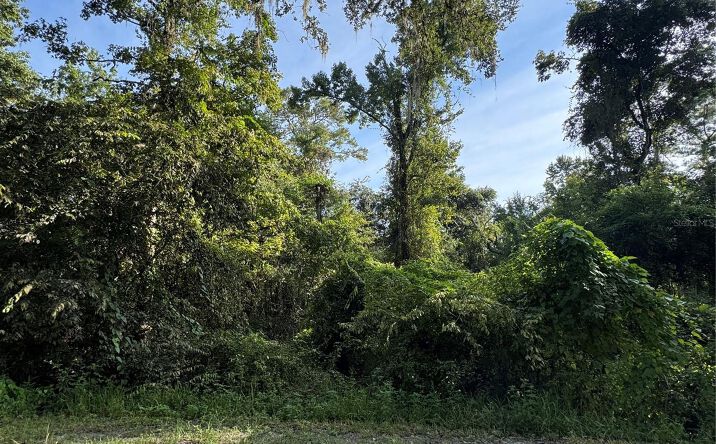 Pictures of Land property located at Barth Rd, Dade city, FL 33523 for sales - image #1