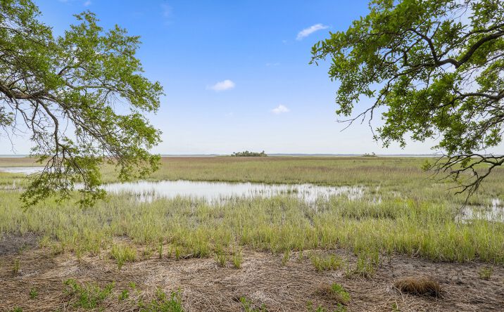 Pictures of Hospitality, Land property located at 71 Tropicana Rd, Saint Helena Island, SC 29920 for sales - image #1
