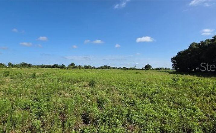 Pictures of Land property located at 16905 NW 220th St, Okeechobee, FL 34972 for sales - image #1