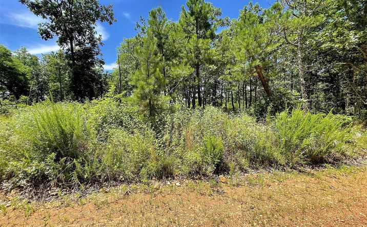Pictures of Land property located at E 630 Road, Peggs, OK 74452 for sales - image #1