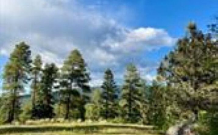 Pictures of Land property located at Owls 2A Blue Spruce Trail, Chama, NM 87520 for sales - image #1