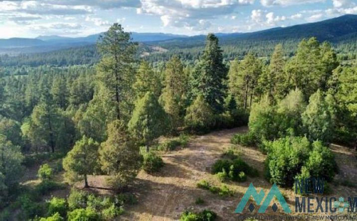 Pictures of Land property located at Owl 1 Blue Spruce, Chama, NM 87520 for sales - image #1