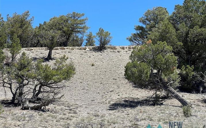 Pictures of Land property located at TBD Buena Vista Drive, Tierra Amarilla, NM 87575 for sales - image #1