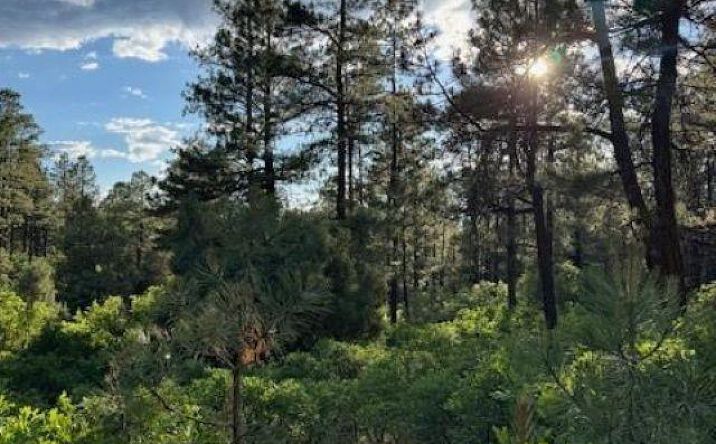 Pictures of Land property located at TBD Eagles 2a Road, Chama, NM 87520 for sales - image #1