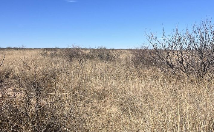Pictures of Land property located at Spokane Road, Lake Arthur, NM 88253 for sales - image #1