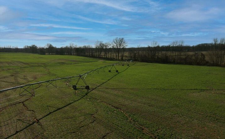 Pictures of Land property located at Highway 54 N Of, Brownsville, TN 38012 for sales - image #1