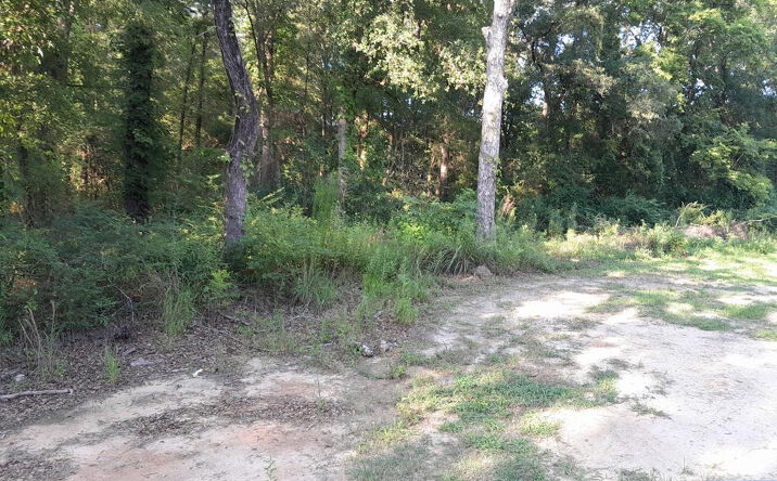 Pictures of Land property located at Near Thomas Walters Road, Pineville, SC 29468 for sales - image #1