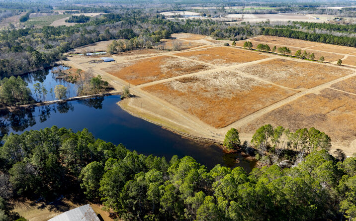 Pictures of Land property located at 2685 Carters Bridge Rd, Claxton, GA 30417 for sales - image #1