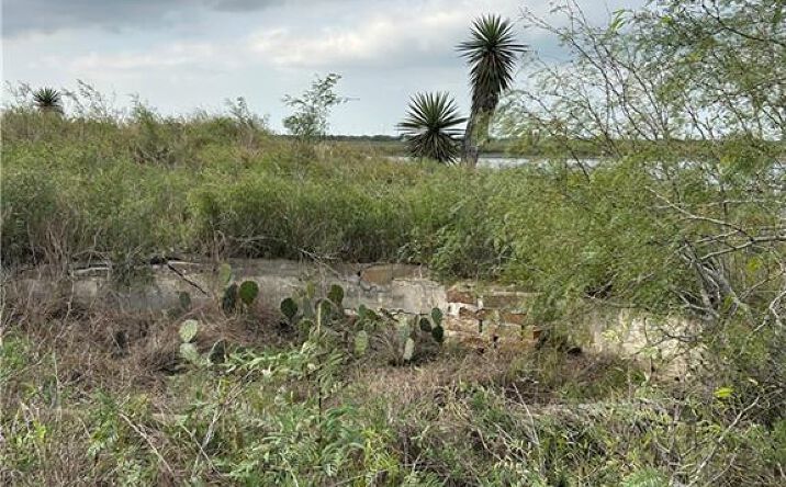 Pictures of Land property located at Tract 1 Fernando East Road, Rio Hondo, TX 78583 for sales - image #1