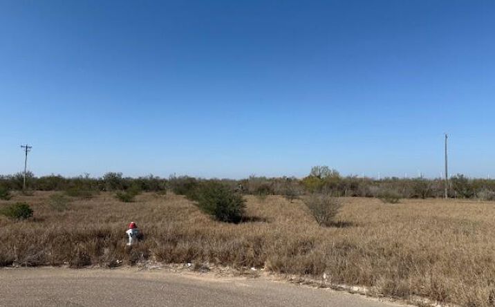 Pictures of Land property located at Eisenhower Road, Rio Grande City, TX 78582 for sales - image #1