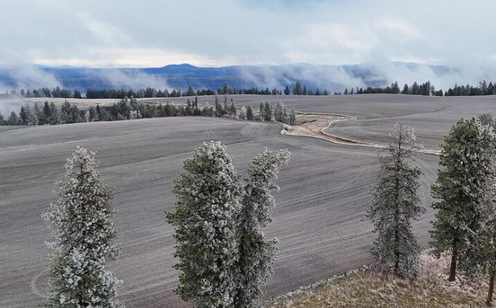 Pictures of Land property located at 2439 Albers Rd, Nezperce, ID 83543 for sales - image #1