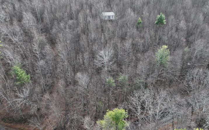 Pictures of Land property located at Shelor, Meadows of Dan, VA 24120 for sales - image #1