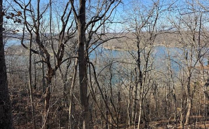 Pictures of Land, Special Purpose property located at Chimney Rock Road, Camdenton, MO 65020 for sales - image #1