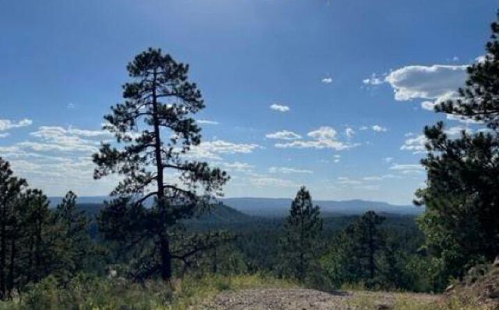 Pictures of Land property located at TBD Ticonderoga Drive Drive, Chama, NM 87520 for sales - image #1