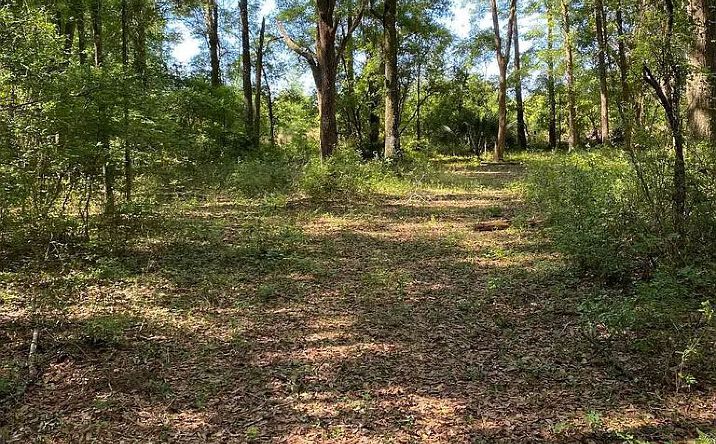 Pictures of Land property located at 4 NW West South Dr LOT 127, Mayo, FL 32066 for sales - image #1