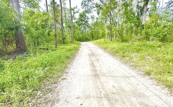 Pictures of Land property located at 3 NW Fox Run Trl LOT 105, Mayo, FL 32066 for sales - image #1