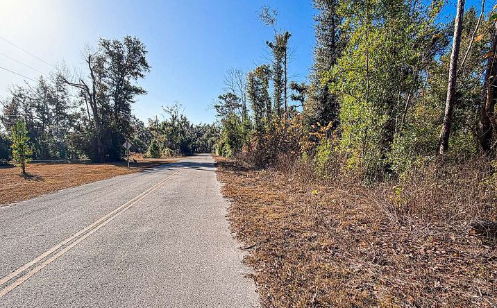 Pictures of Land property located at 0 NW Fulton St, Day, FL 32066 for sales - image #1