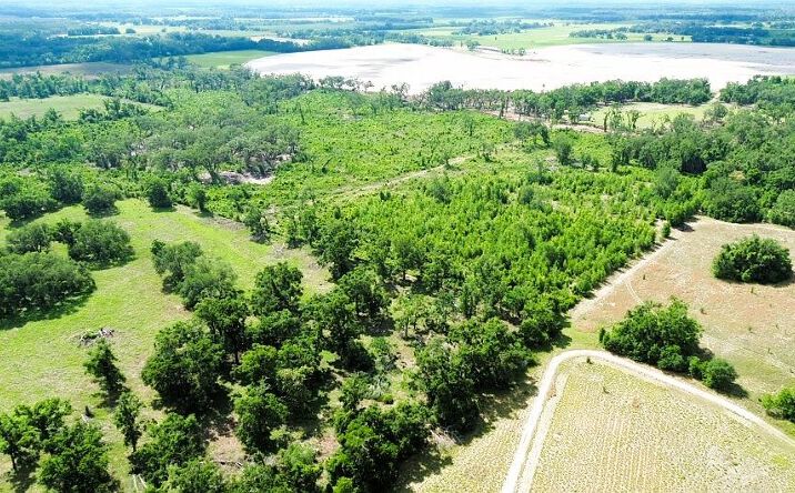 Pictures of Land property located at SE County Rd 412, mayo, FL 32066 for sales - image #1