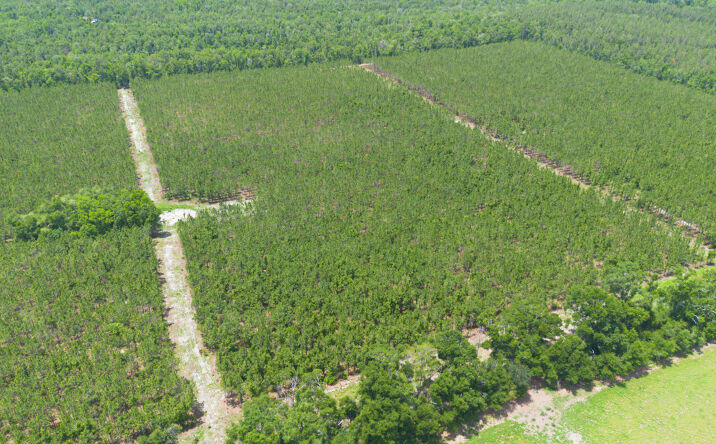 Pictures of Multifamily, Mixed Use, Land property located at 6 221st Rd, Live Oak, FL 32060 for sales - image #1
