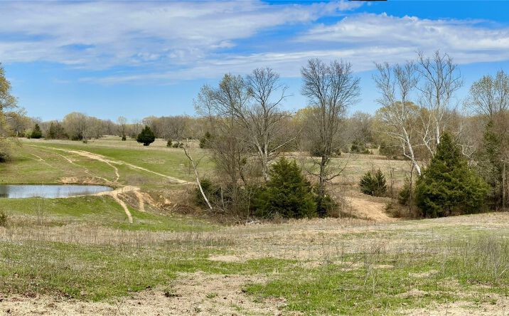 Pictures of Land property located at 1397 E Allison Road, Atoka, OK 74525 for sales - image #1