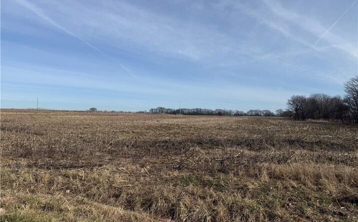 Pictures of Land property located at S 575 Road, Bronaugh, MO 64728 for sales - image #1