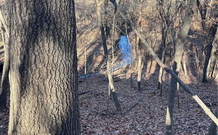 Pictures of Land property located at U Highway, Camden Point, MO 64079 for sales - image #1