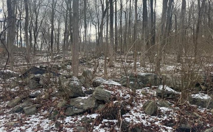 Pictures of Land property located at Lot 3 Eder Road, East Fishkill, NY 12582 for sales - image #1