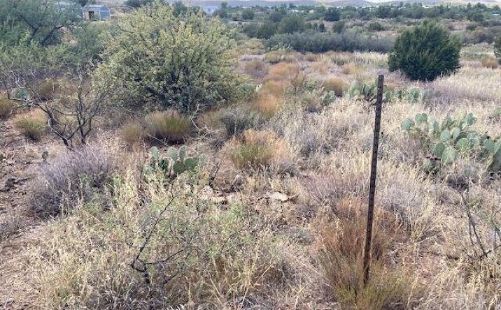 Pictures of Land, Multifamily property located at 20861 E Park View Lane, Cordes Lakes, AZ 86333 for sales - image #1