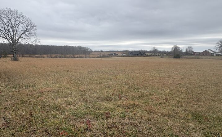 Pictures of Land property located at 903 Buffalo Rd, Hohenwald, TN 38462 for sales - image #1