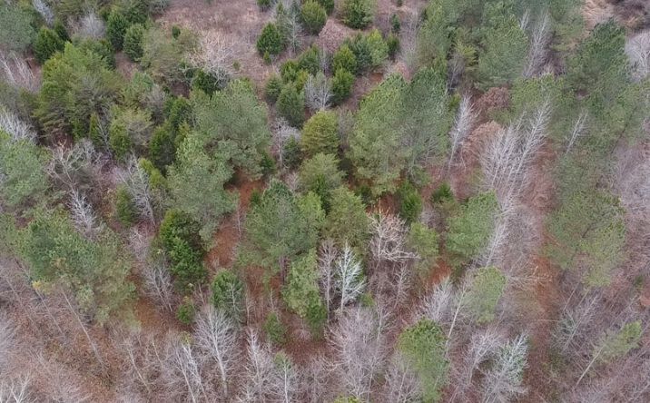 Pictures of Land property located at Wellspring Ln, South Boston, VA 24592 for sales - image #1