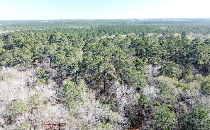 Pictures of Land property located at Corrigan Rd, Vidor, TX 77662 for sales - image #1