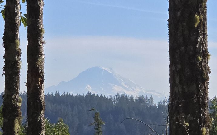 Pictures of Land property located at 2xxx Sand Dollar Rd W, Bremerton, WA 98312 for sales - image #1