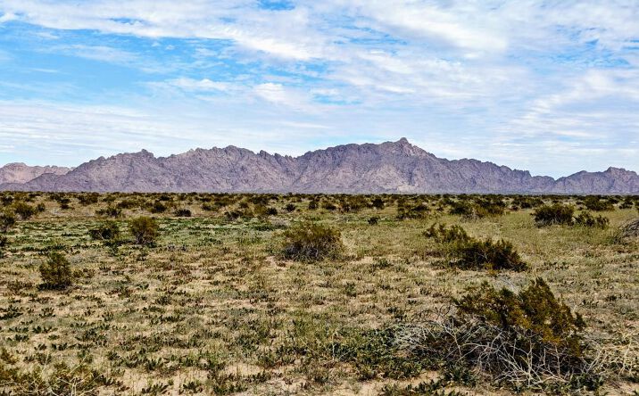 Pictures of Industrial, Land, Mixed Use, Special Purpose property located at XXX Old US 8, Yuma, AZ 85356 for sales - image #1