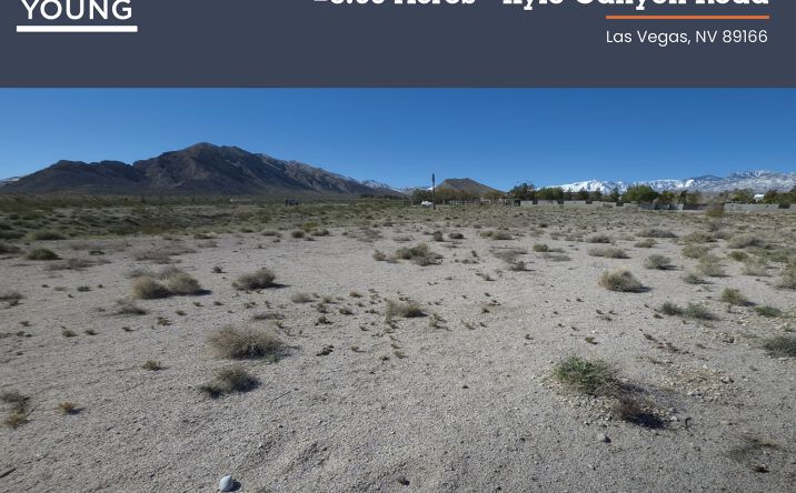 Pictures of Land property located at Kyle Canyon Rd, Las Vegas, NV 89166 for sales - image #1