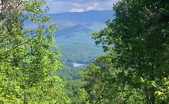 Pictures of Land property located at 377 Freeman Overlook, Bryson City, NC 28713 for sales - image #1