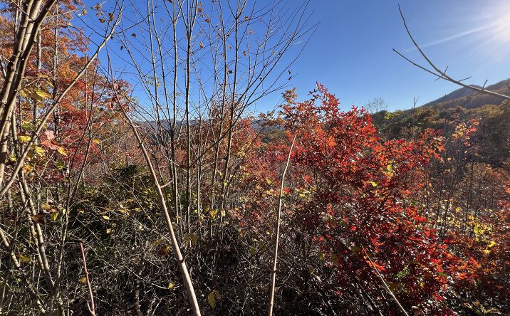 Pictures of Land property located at Musket Dr, Almond, NC 28713 for sales - image #1