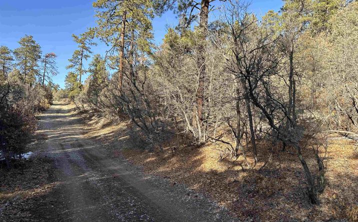 Pictures of Land, Special Purpose property located at TBD Private Drive 1781, Chama, NM 87520 for sales - image #1