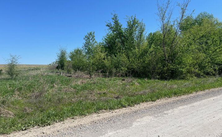 Pictures of Land property located at Lot 8 66th St, Meriden, KS 66512 for sales - image #1