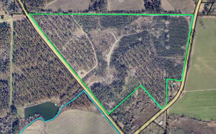 Pictures of Land property located at brady road, leslie, GA, Leslie, GA 31764 for sales - image #1