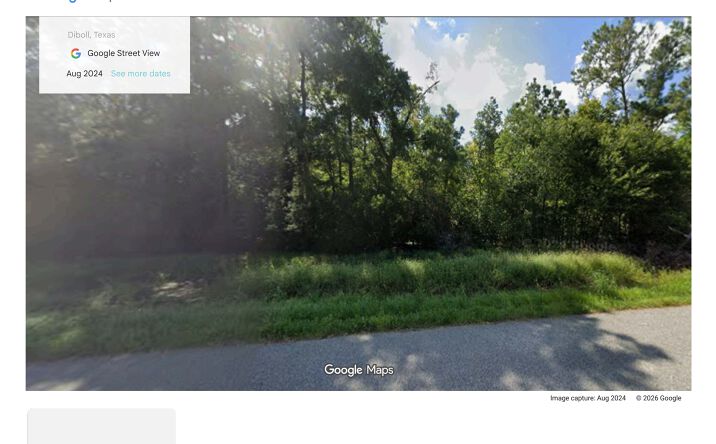 Pictures of Land property located at US-59, Diboll, TX 75941 for sales - image #1