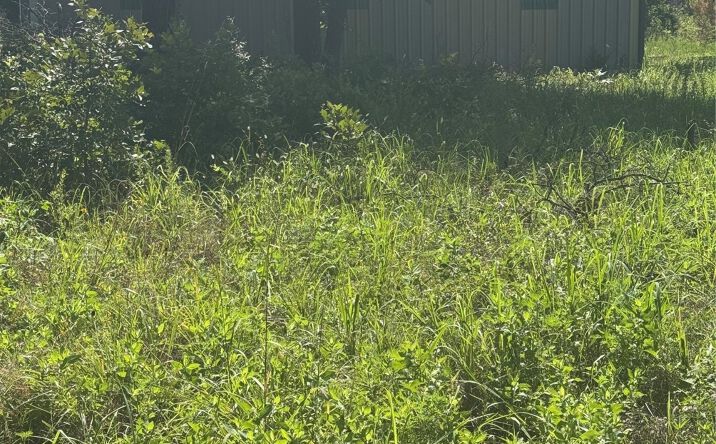 Pictures of Land property located at 23686 S 106th Street E, Porum, OK 74455 for sales - image #1