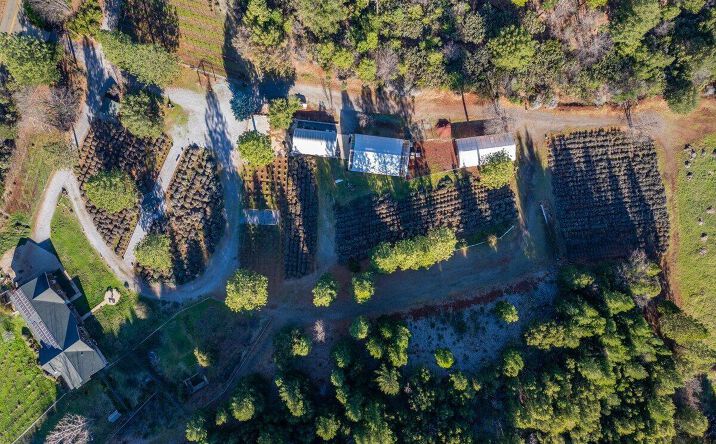 Pictures of Special Purpose property located at 12757 Fern Road, Whitmore, CA 96096 for sales - image #1