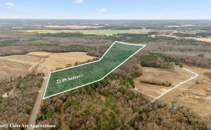 Pictures of Land property located at 0 Gaddys Mill Road, 92683, NC 28364 for sales - image #1
