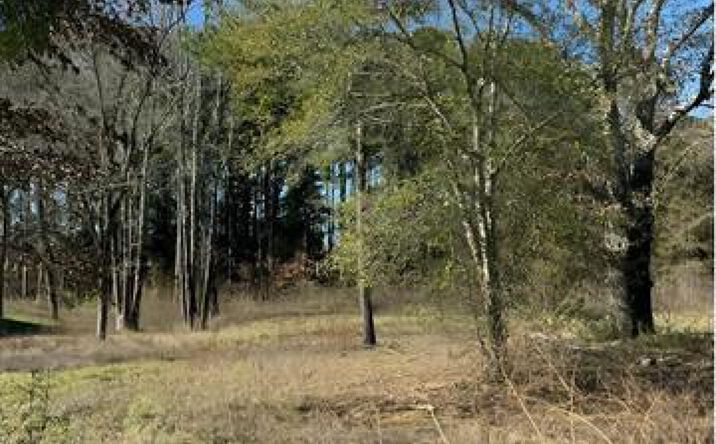 Pictures of Land property located at Lot 3 Berrycreek Circle, Frankston, TX 75763 for sales - image #1