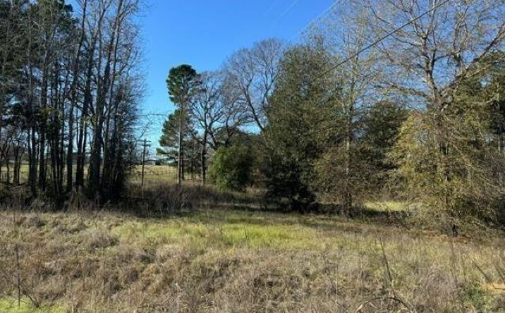 Pictures of Land property located at Lot 1 Berrycreek Circle, Frankston, TX 75763 for sales - image #1