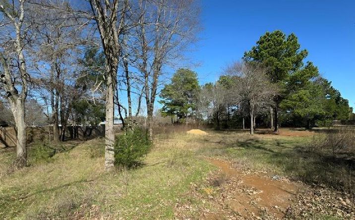 Pictures of Land property located at Lot 7 Berrycreek Circle, Frankston, TX 75763 for sales - image #1