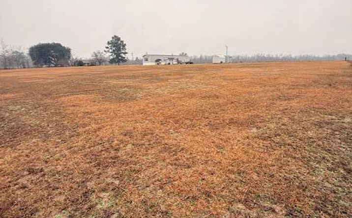 Pictures of Land, Multifamily property located at 785 Westbury Mill Road, Sumter, SC 29153 for sales - image #1